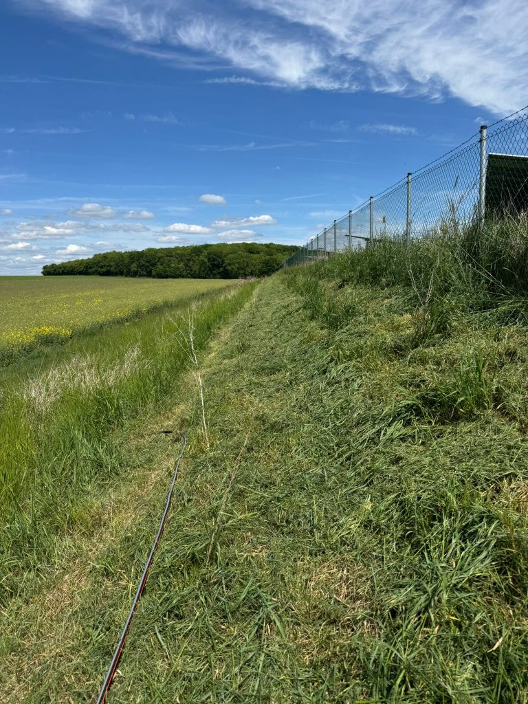 Öffentliche Aussenanlage Pflege