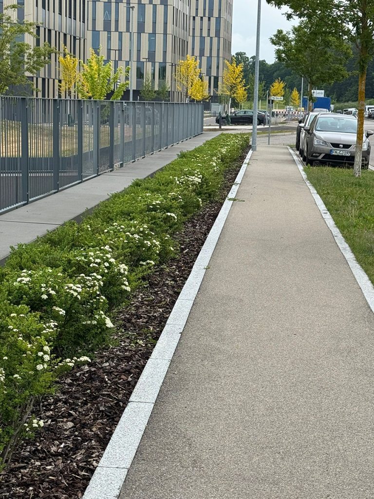 Öffentliche Aussenanlage Pflege