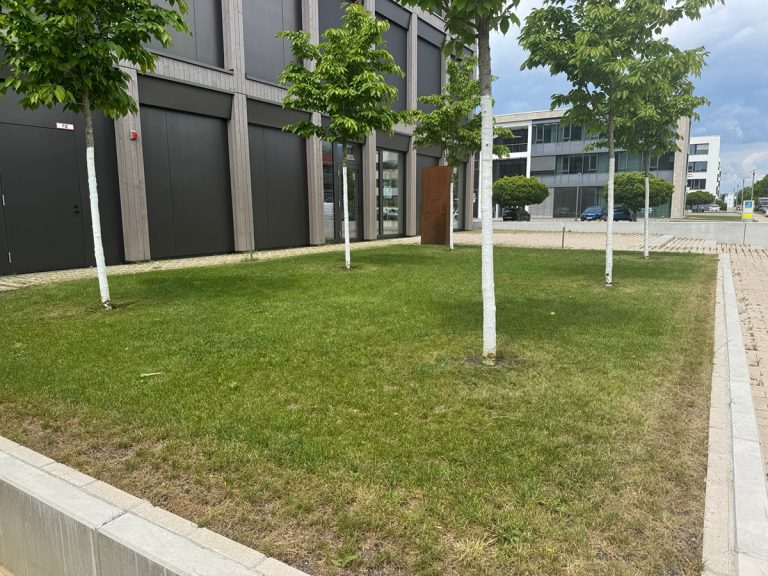 Gewerbliche Aussenanlage Pflege